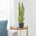 Artificial Sansevieria Plant with Pot Green - Chic Decora