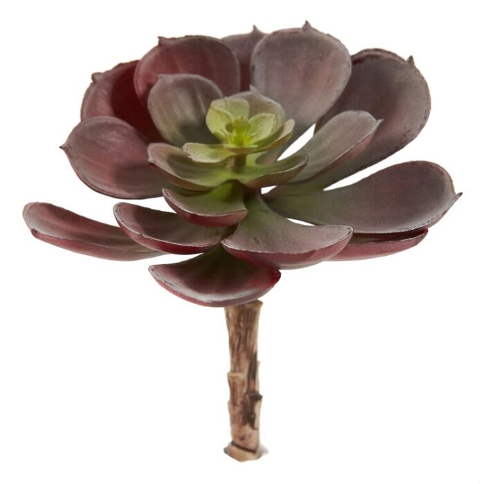 Faux Succulent Plant - Chic Decora