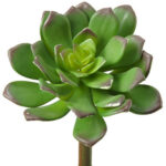 6.5” Succulent Plant - Chic Decora