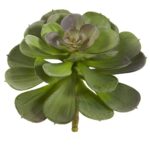 Faux Succulent Plant - Chic Decora