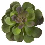 Faux Succulent Plant - Chic Decora