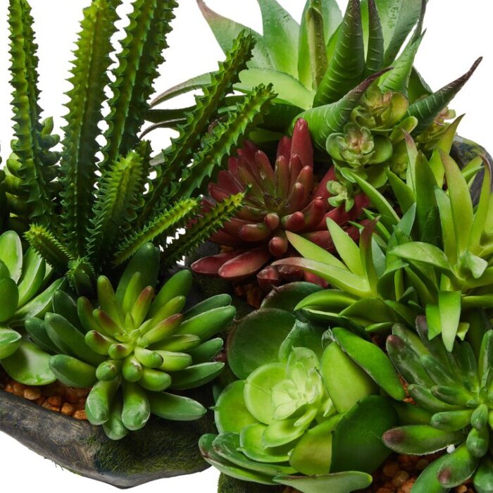 Faux Succulent Plant in Planter - Chic Decora