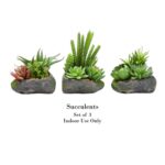 Faux Succulent Plant in Planter - Chic Decora