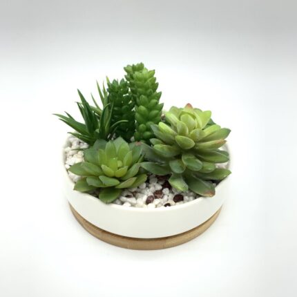 Faux Succulents In White Planter w/ Wood Base - Chic Decora