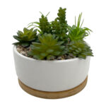 Faux Succulents In White Planter w/ Wood Base - Chic Decora