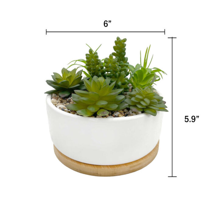 Faux Succulents In White Planter w/ Wood Base - Chic Decora