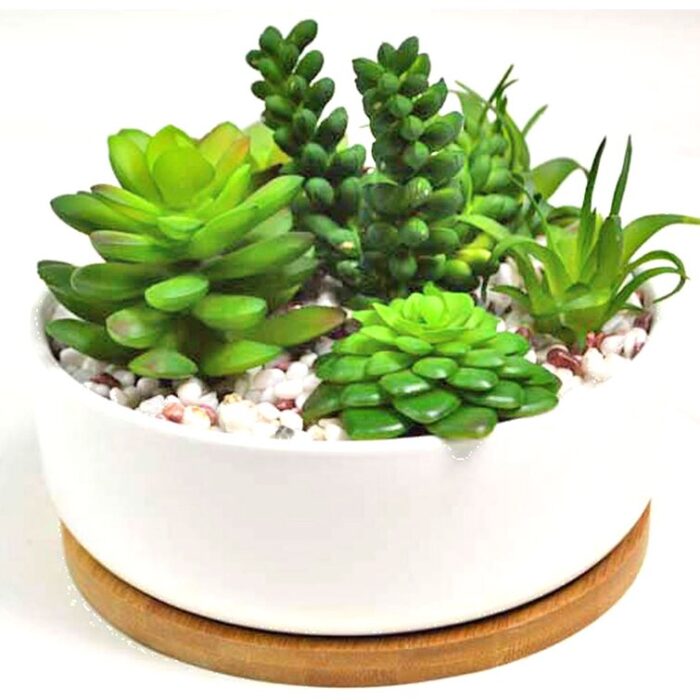 Faux Succulents In White Planter w/ Wood Base - Chic Decora