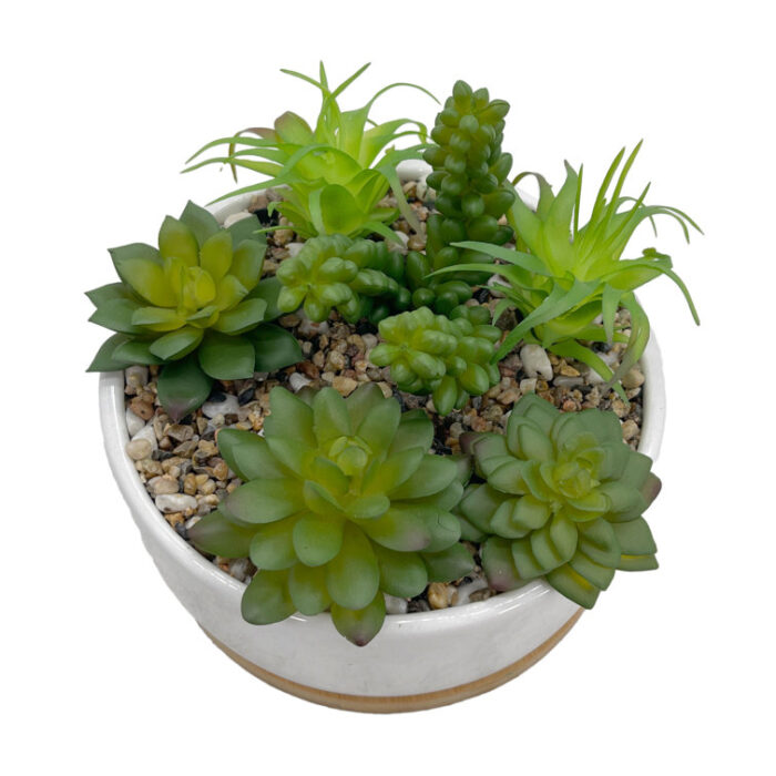 Faux Succulents In White Planter w/ Wood Base - Chic Decora