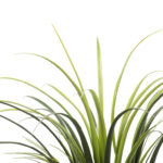 Faux Yucca Grass in Pot - Chic Decora