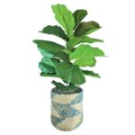 Furtado 48” Faux Fiddle Leaf Fig Plant - Chic Decora