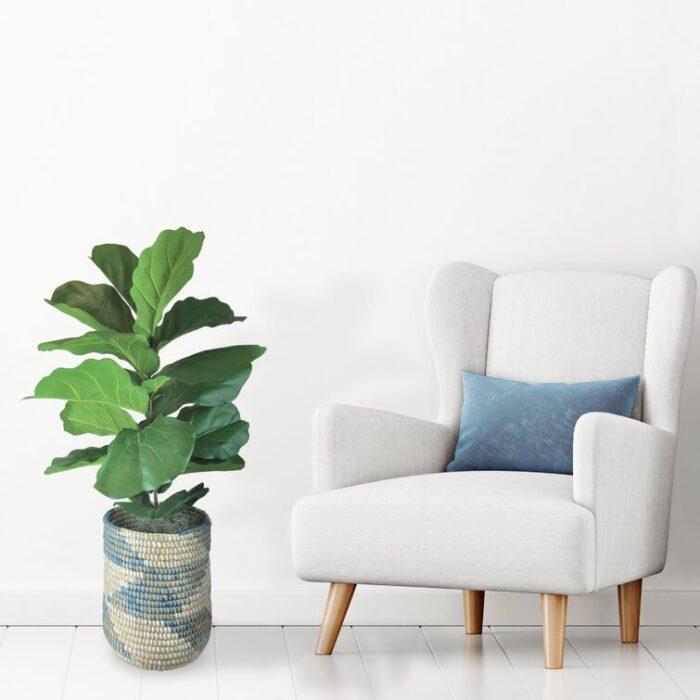 Furtado 48” Faux Fiddle Leaf Fig Plant - Chic Decora