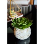 Galyon 6.75” Faux Succulent Plant in Ceramic Planter - Chic Decora