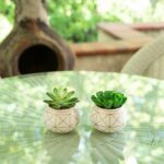 Gamache 7” Faux Succulent in Ceramic Pot - Chic Decora