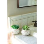 Gamache 7” Faux Succulent in Ceramic Pot - Chic Decora