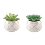 Gamache 7” Faux Succulent in Ceramic Pot - Chic Decora