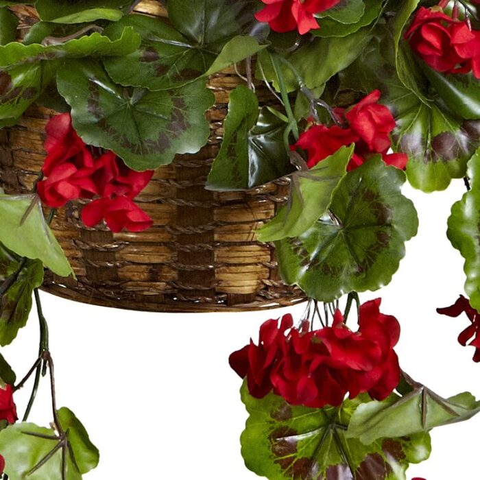 Geranium Hanging Basket UV Resistant (Indoor/Outdoor) - Chic Decora