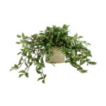 Karas Faux Tradescantia Plant in Ceramic Vase - Chic Decora