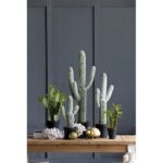 Mari Succulent Plant in Pot - Chic Decora