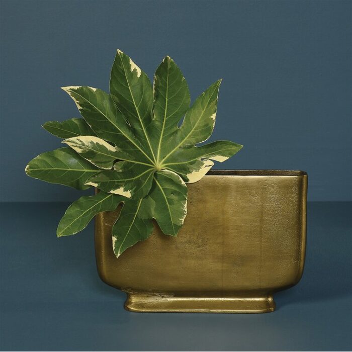 Mcinerney Metal Table Vase - Chic Decora