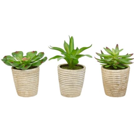 Miniature Plant Paradise3-Piece Lifelike Potted Faux Succulent Arrangement - Chic Decora