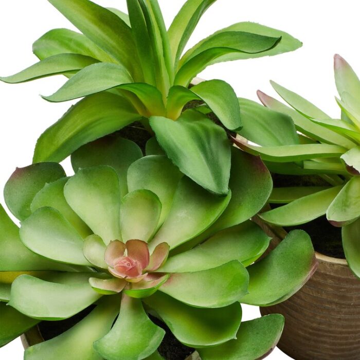 Miniature Plant Paradise3-Piece Lifelike Potted Faux Succulent Arrangement - Chic Decora