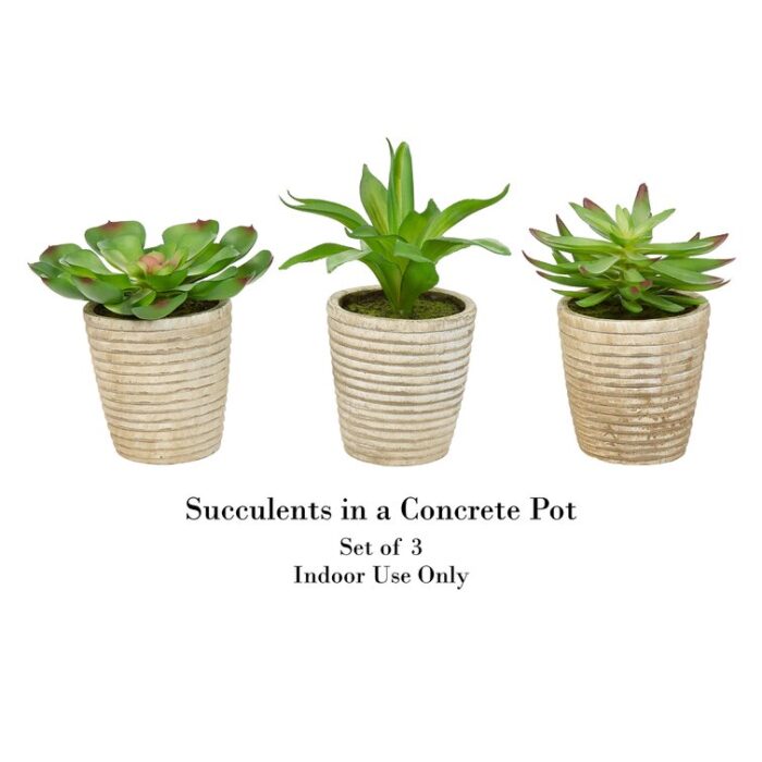 Miniature Plant Paradise3-Piece Lifelike Potted Faux Succulent Arrangement - Chic Decora