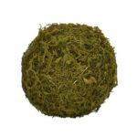 3.5” Moss Topiary - Chic Decora