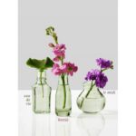 Pecic Glass Table Vase - Chic Decora