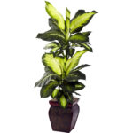 Pembroke 45” Faux Foliage Plant in Wood Planter - Chic Decora