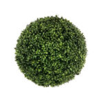 Boxwood Hedge - Chic Decora