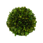 Preserved Boxwood Ball - Chic Decora