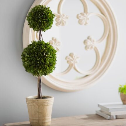 Preserved Boxwood Double Ball Topiary - Chic Decora