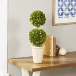 Preserved Boxwood Double Ball Topiary - Chic Decora