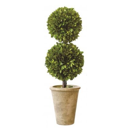 Preserved Boxwood Double Ball Topiary - Chic Decora