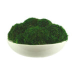 3.5” Moss Topiary - Chic Decora