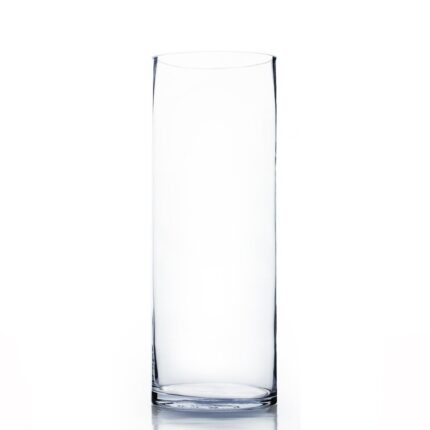 Raegan Glass Table Vase - Chic Decora