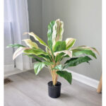 Real Touch Cordyline Plant In Pot - Chic Decora