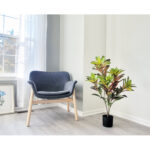 Real touch Artificial Croton Tree in Pot - Chic Decora