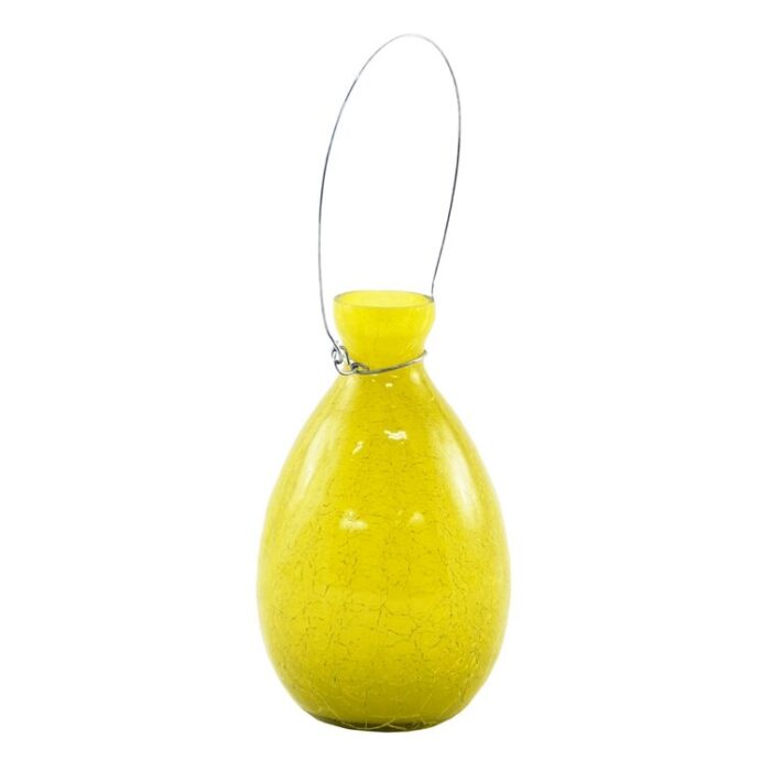 Sanora Glass Table Vase - Chic Decora