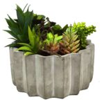 Succulent Plant in Planter in Planter - Chic Decora