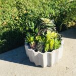 Succulent Plant in Planter in Planter - Chic Decora