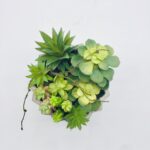 Succulent Plant in Planter in Planter - Chic Decora