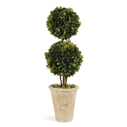 Swader 20” Boxwood Topiary in Ceramic Pot - Chic Decora