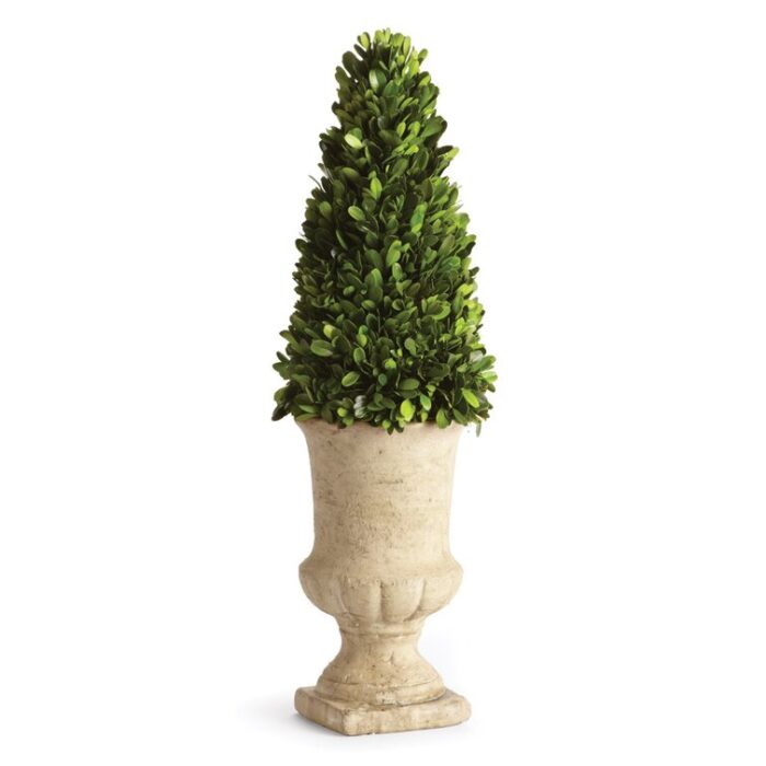 Swader 24” Boxwood Topiary in Ceramic Urn - Chic Decora