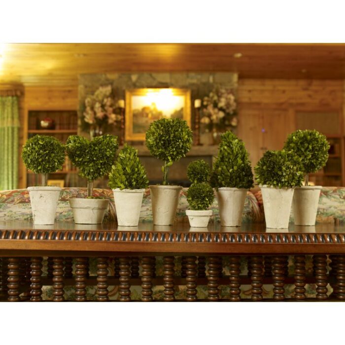 Swader 7” Boxwood Topiary in Ceramic Decorative Vase - Chic Decora