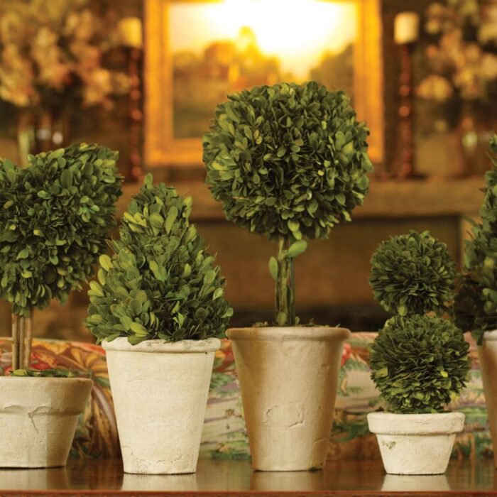 Swader 7” Boxwood Topiary in Ceramic Decorative Vase - Chic Decora