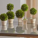 Swader Boxwood Topiary in Ceramic Pot - Chic Decora