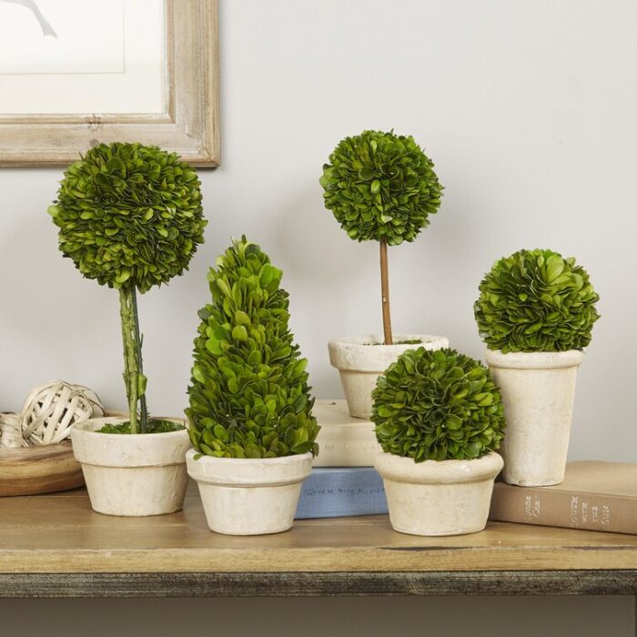 Swader Faux Boxwood Topiary in Ceramic Pot - Chic Decora