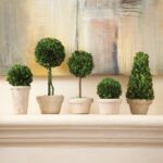 Swader Faux Boxwood Topiary in Ceramic Pot - Chic Decora