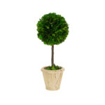 Topiary in Ceramic Pot - Chic Decora